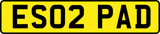 ES02PAD