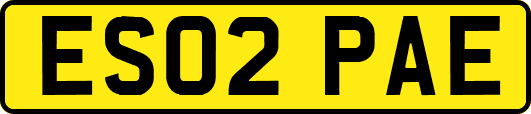 ES02PAE
