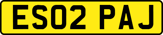 ES02PAJ