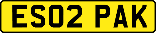ES02PAK