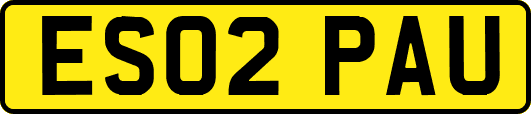 ES02PAU
