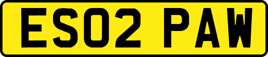 ES02PAW