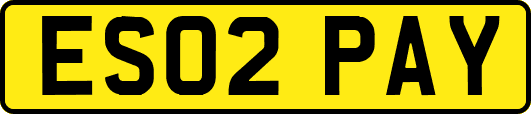 ES02PAY