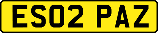 ES02PAZ