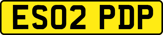 ES02PDP