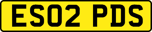 ES02PDS