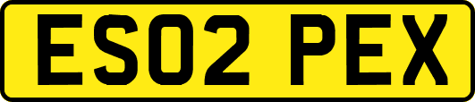 ES02PEX
