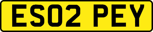 ES02PEY