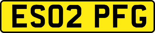 ES02PFG