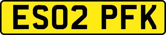 ES02PFK
