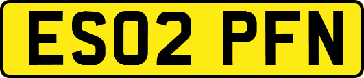 ES02PFN