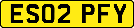 ES02PFY