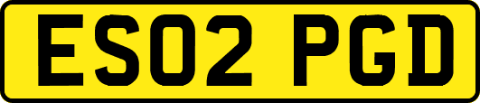 ES02PGD