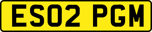 ES02PGM