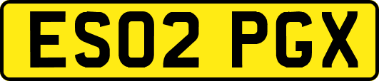 ES02PGX