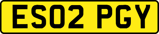 ES02PGY
