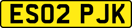 ES02PJK