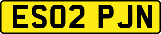 ES02PJN
