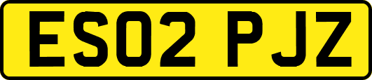 ES02PJZ