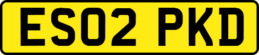ES02PKD