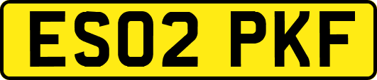 ES02PKF