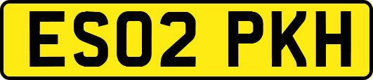 ES02PKH