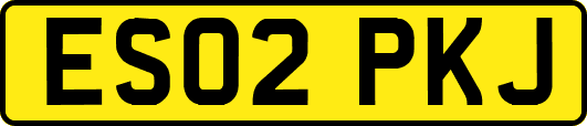 ES02PKJ