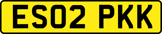 ES02PKK