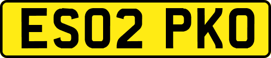 ES02PKO
