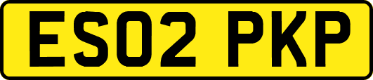 ES02PKP