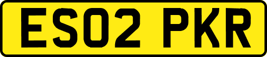 ES02PKR