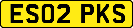 ES02PKS