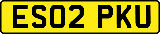 ES02PKU