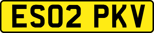 ES02PKV