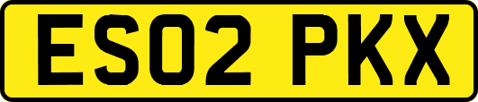 ES02PKX