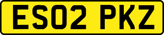 ES02PKZ