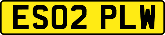 ES02PLW