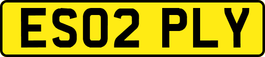 ES02PLY