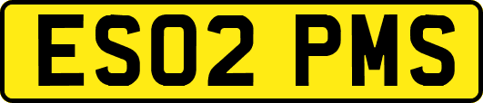 ES02PMS