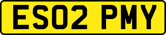 ES02PMY