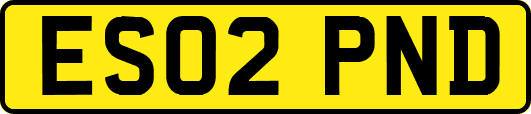 ES02PND
