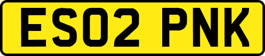 ES02PNK
