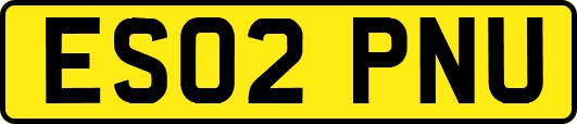 ES02PNU