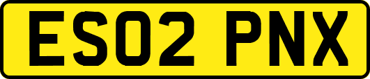 ES02PNX