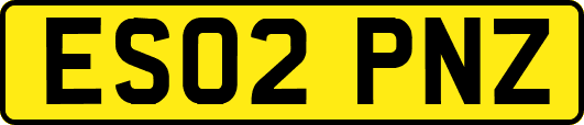 ES02PNZ
