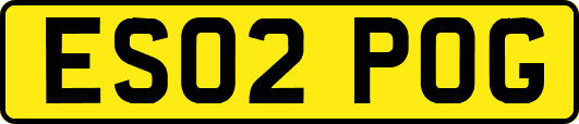 ES02POG