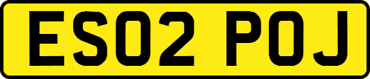 ES02POJ