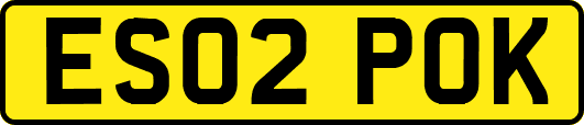 ES02POK