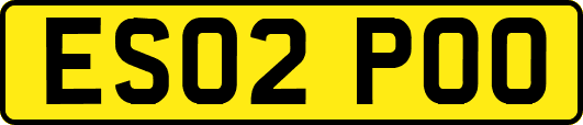 ES02POO