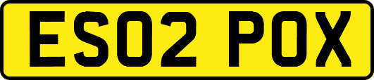 ES02POX
